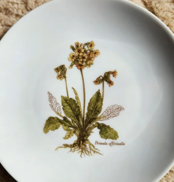 Vintage JKW Bavaria 1930 Western Germany Floral 7" Salad Plate - Picture 2 of 4